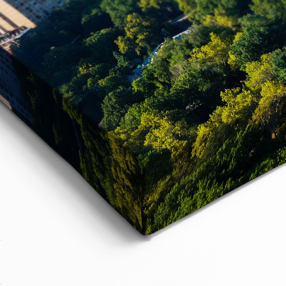 Central Park Wall Art - NYC Skyline Photography Scenic New York Canvas Print