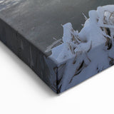 New York City Art Prints - Central Park Winter Photography Canvas Wall Art