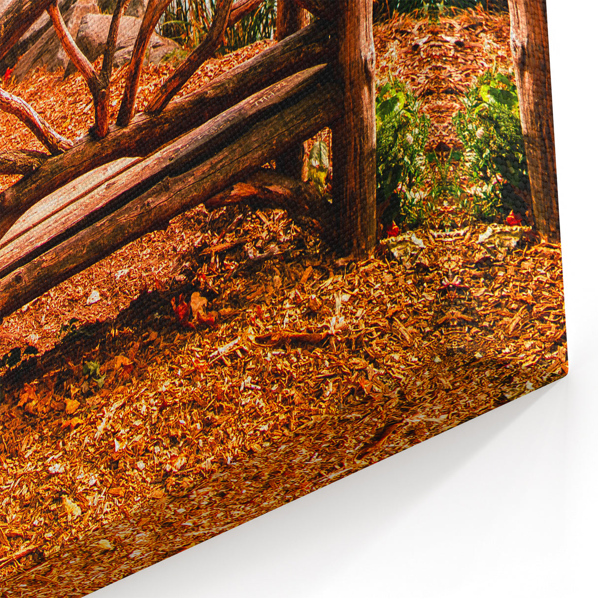 Central Park Wall Art - Autumn Leaves Scenic Photography Canvas Print