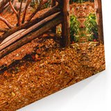 Central Park Wall Art - Autumn Leaves Scenic Photography Canvas Print