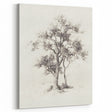 Minimalist Tree Sketch Art – Black and White Nature Drawing