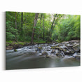 North Carolina Wall Decor - Peaceful Forest Stream in Durham Nature Scene