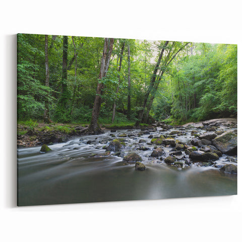 North Carolina Wall Decor - Peaceful Forest Stream in Durham Nature Scene