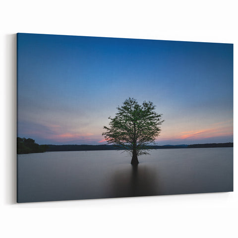 Durham Wall Art - Solitary Tree at Sunset Over North Carolina Lake