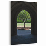 Durham Photography Print - Arched Doorway and Tree in North Carolina