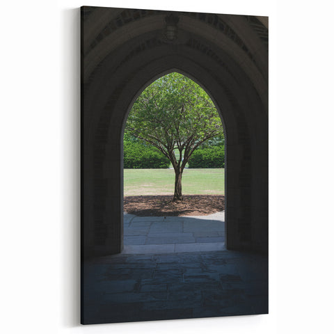 Durham Photography Print - Arched Doorway and Tree in North Carolina