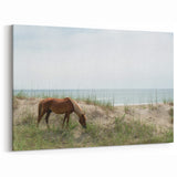 Outer Banks Beach Photography – Wild Horse Coastal Scene Wall Art