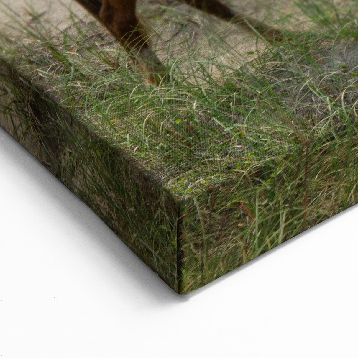 Outer Banks Beach Photography – Wild Horse Coastal Scene Wall Art