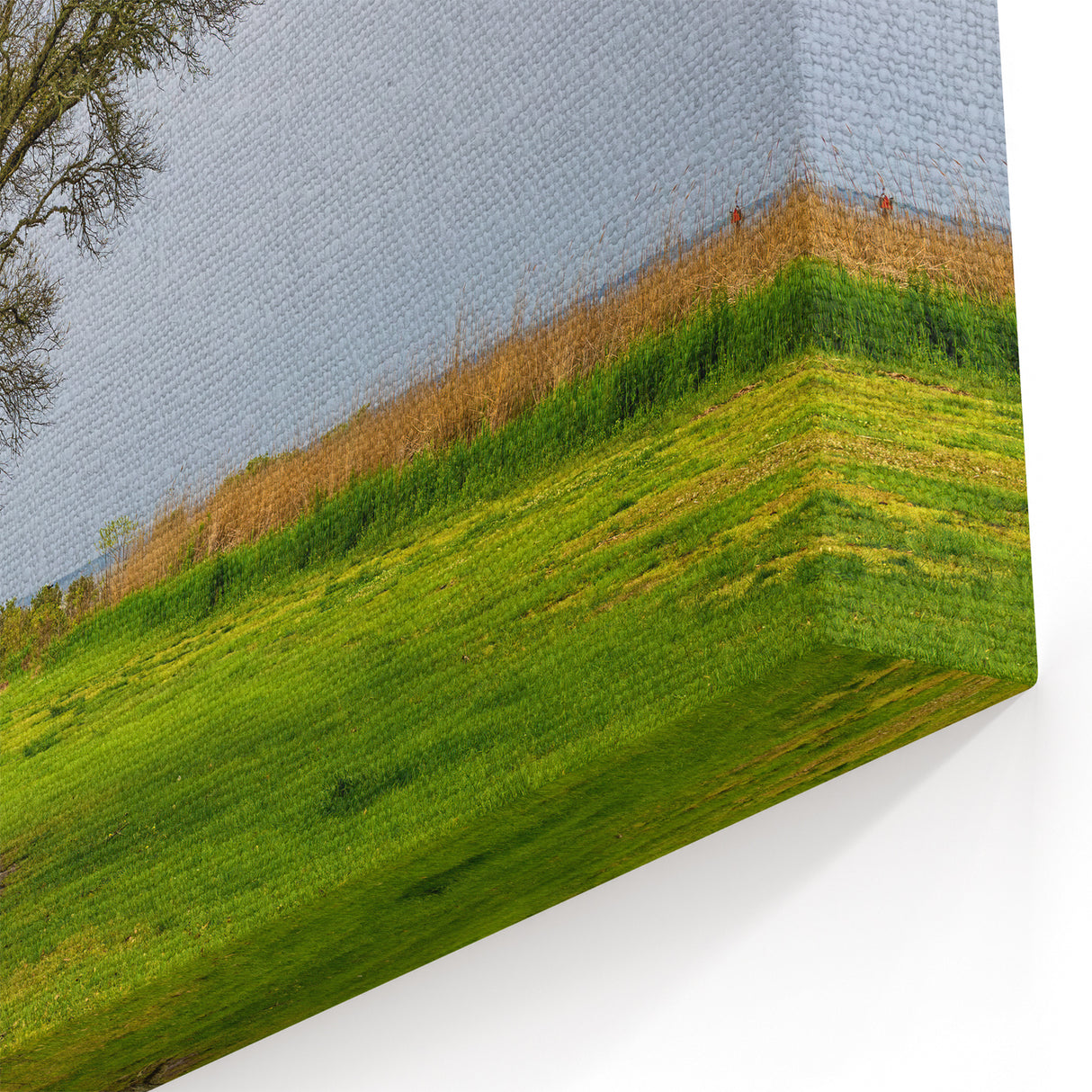 North Carolina Coastal Art – Serene Waterfront Trees Outer Banks Print