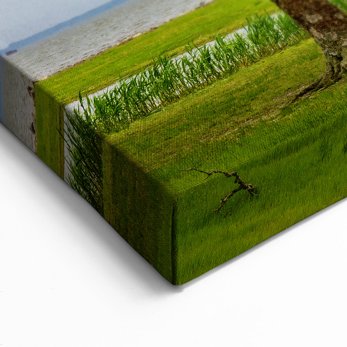 North Carolina Coastal Art – Serene Waterfront Trees Outer Banks Print