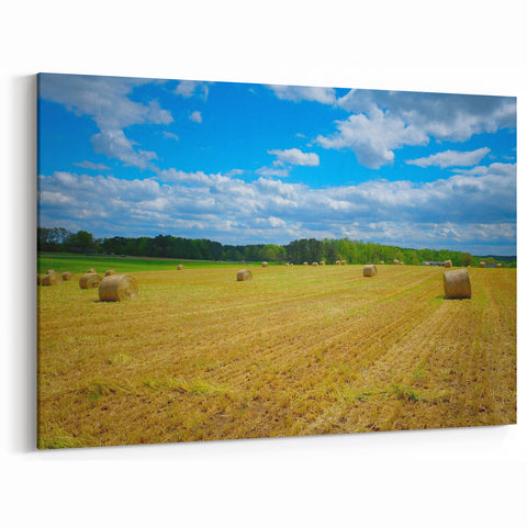 Raleigh Farmland Photography - Scenic North Carolina Field Wall Art