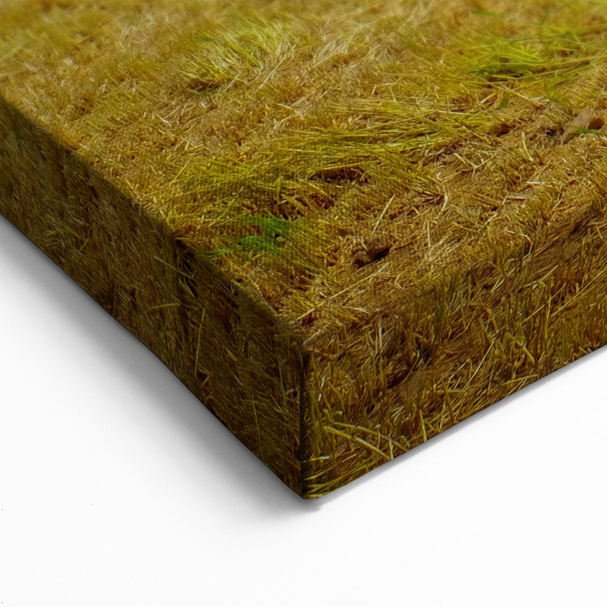 Raleigh Farmland Photography - Scenic North Carolina Field Wall Art