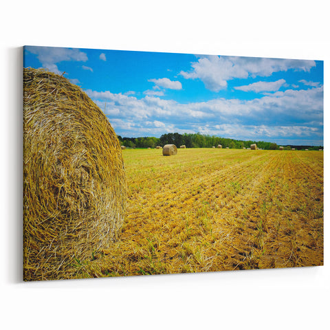 Raleigh Farm Landscape Art - North Carolina Hay Bale Field Wall Art