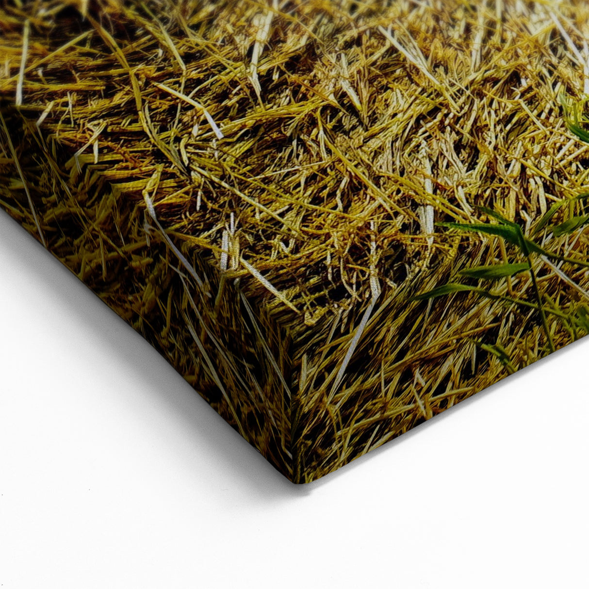 Raleigh Farm Landscape Art - North Carolina Hay Bale Field Wall Art