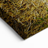 Raleigh Farm Landscape Art - North Carolina Hay Bale Field Wall Art