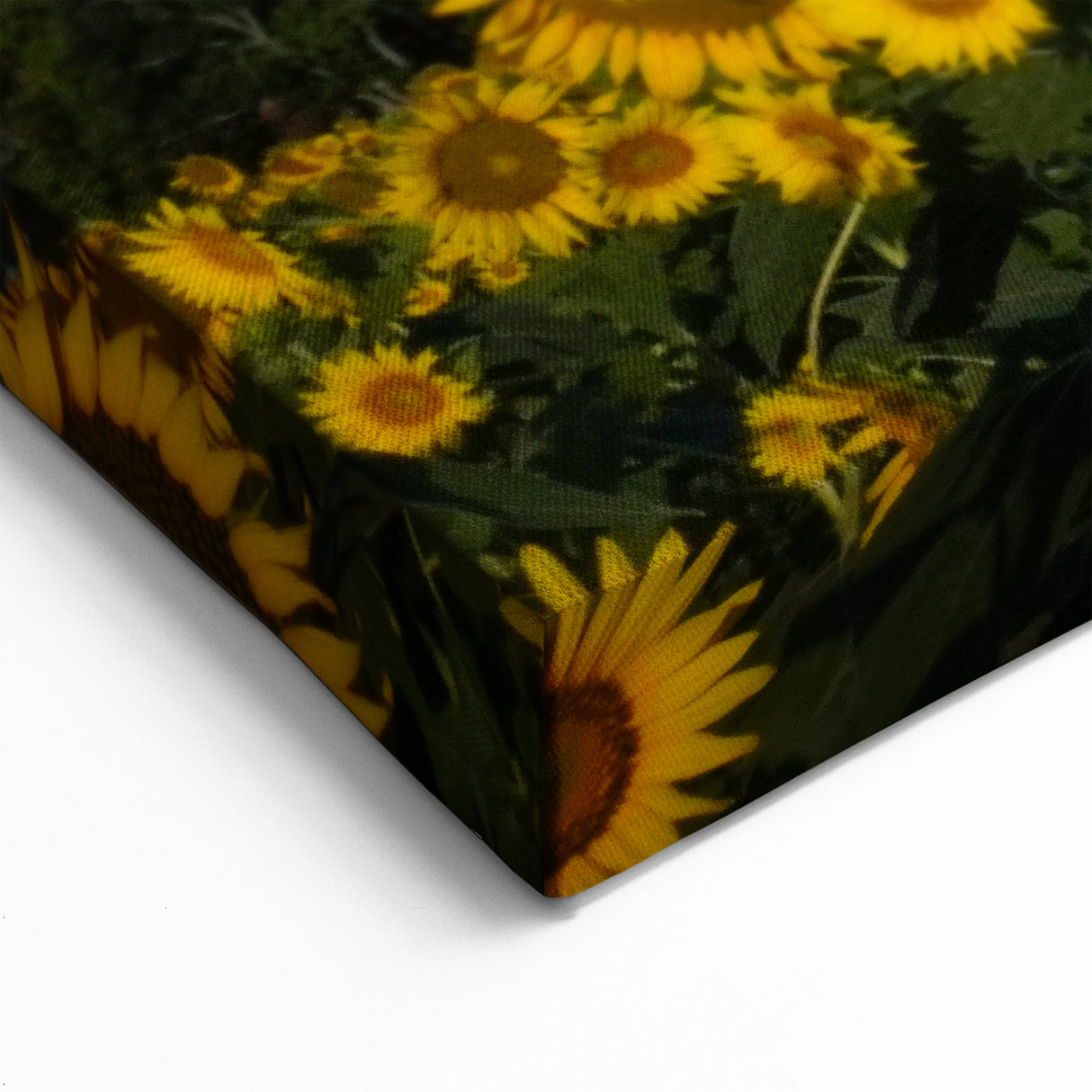 Raleigh Sunflower Field Art - Vibrant North Carolina Nature Photography