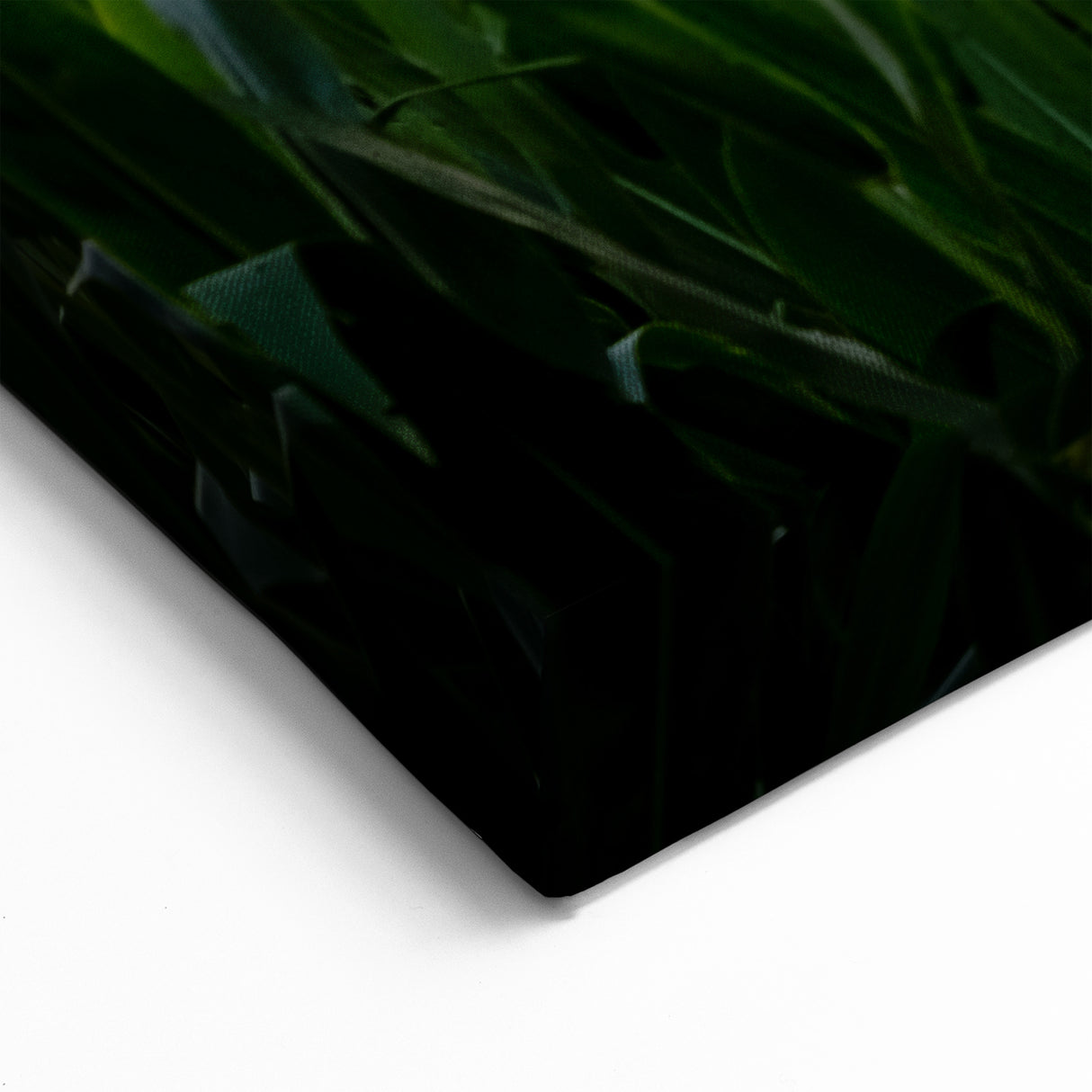 Raleigh Sunset Cornfield Art - Scenic North Carolina Rural Photography