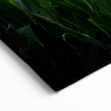 Raleigh Sunset Cornfield Art - Scenic North Carolina Rural Photography