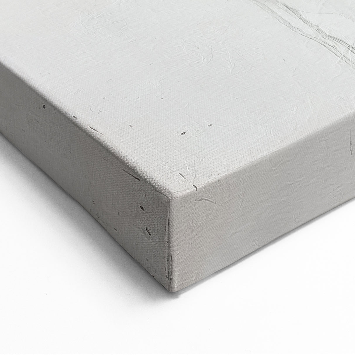 Elegant Abstract Figurative Canvas - Modern Minimalist Wall Art Decor