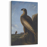 Majestic Realism Art Print – Washington Sea Eagle by Audubon