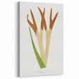 Elegant Realism Art Print – Staghorn Fern by Edward Joseph Lowe