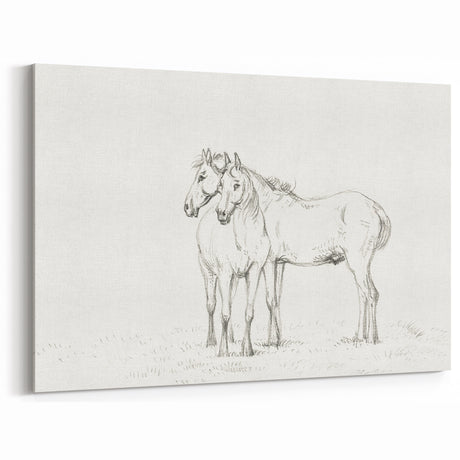 Fine Art Realism Sketch - Two Horses Standing Together Art Print Canvas