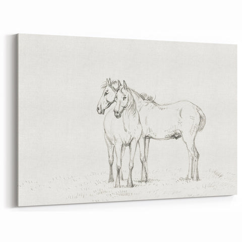 Fine Art Realism Sketch - Two Horses Standing Together Art Print Canvas