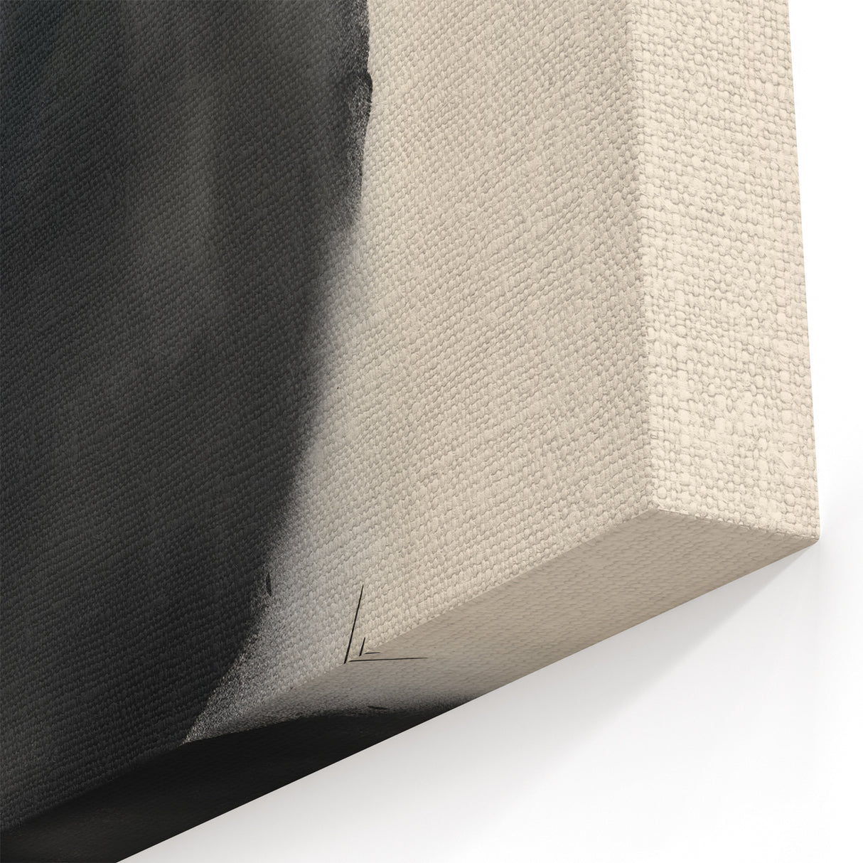 Black and White Circle Art – Minimalist Ink Canvas with Organic Lines