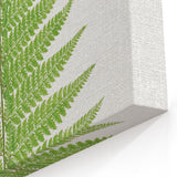 Botanical Realism Print | Aspidium Angulare Fern by Edward Joseph Lowe