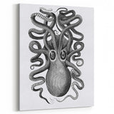 Vintage Scientific Octopus Print | Eight-Armed Cuttlefish by George Shaw