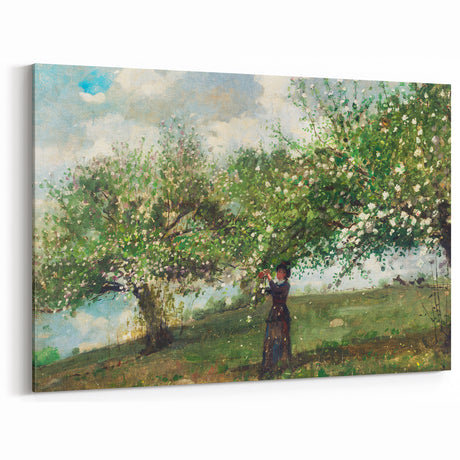 Charming Realism Art Print | Girl Picking Apple Blossoms by Winslow Homer