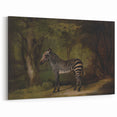 Realism Wildlife Art Print | Zebra in Forest by George Stubbs | Fine Decor