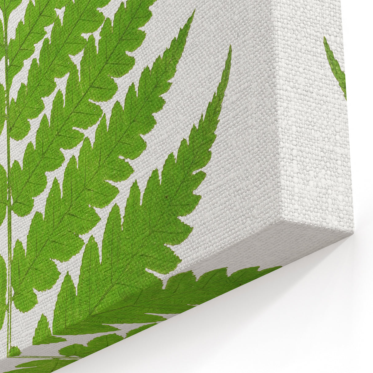 Realism Art Prints - Acrostichum Alienum Fern by Edward Joseph Lowe