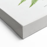 Athyrium Filix–Femina Lady Fern Print - Detailed Realism Botanical Art