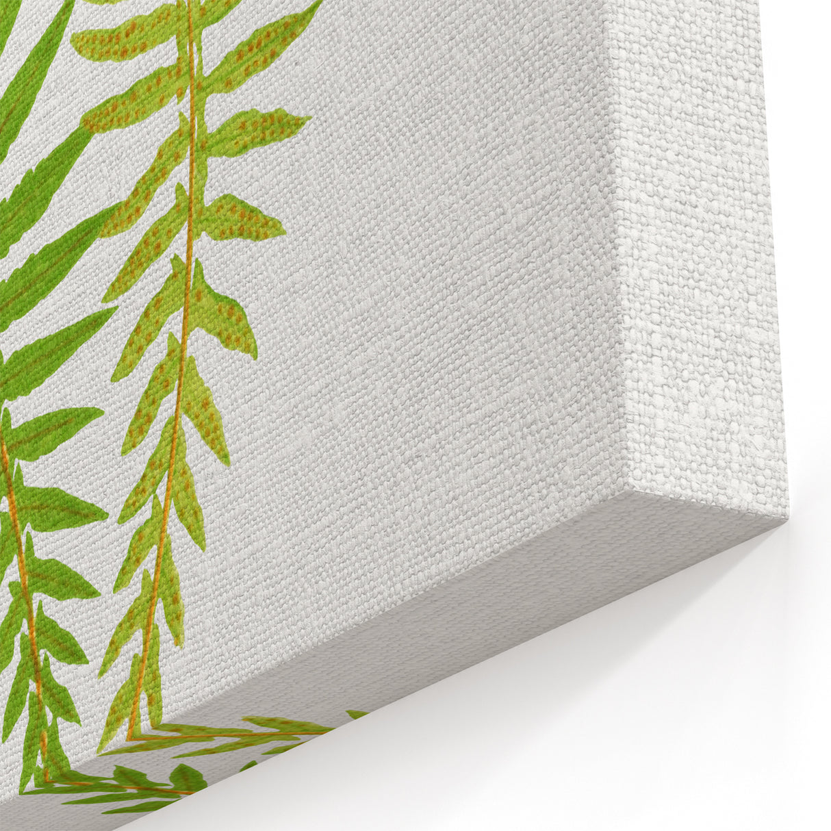 Polypodium Fern Realism Art Print - Edward Lowe Botanical Wall Decor