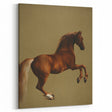 Whistlejacket Realism Horse Art Print - Classic Equestrian Canvas Decor