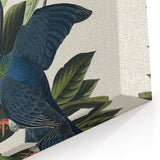 White-crowned Pigeon Art Print - Audubon Birds of America Botanical Decor