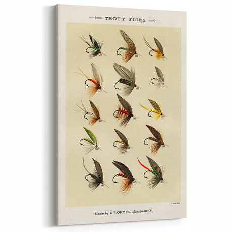 Trout Flies Illustration Print - Mary Orvis Marbury Realism Fly Fishing Art