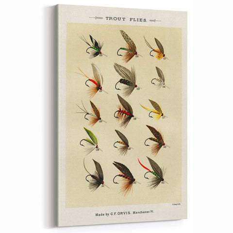 Trout Flies Illustration Print - Mary Orvis Marbury Realism Fly Fishing Art