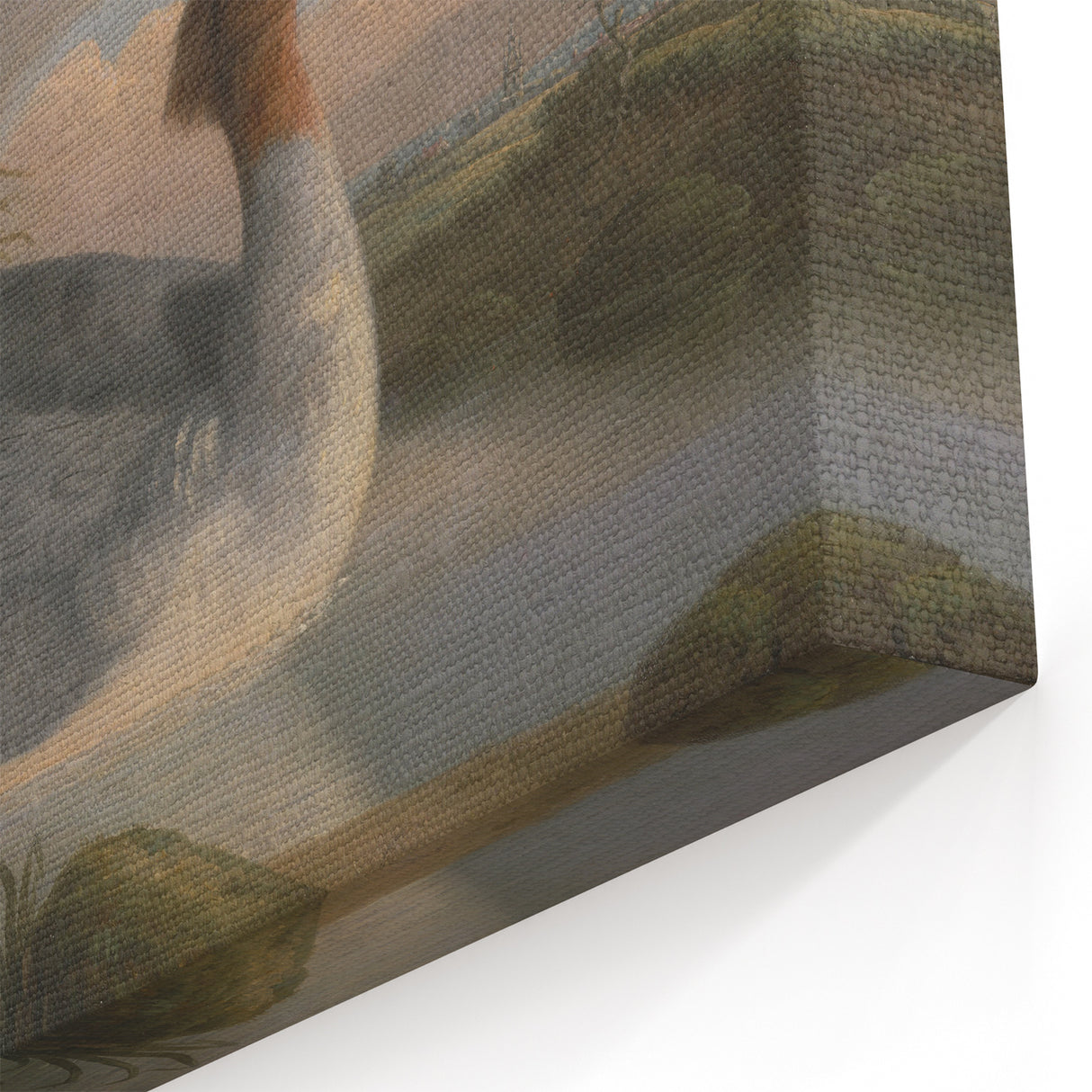 Goosander Dun Diver Art Print - Robert Wilkinson Padley Realism Bird Decor