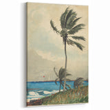 Realism Art Print of Tropical Landscape with Palm Trees and Ocean View