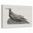 Modern Wall Art - Cormorant on Nest - Contemporary Minimalist Print
