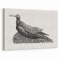 Modern Wall Art - Cormorant on Nest - Contemporary Minimalist Print