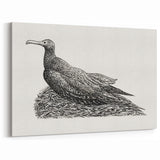 Modern Wall Art - Cormorant on Nest - Contemporary Minimalist Print