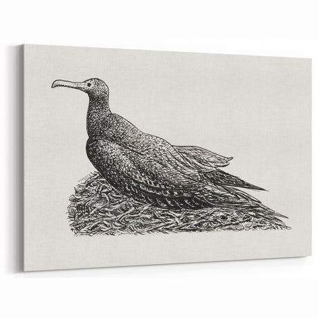Modern Wall Art - Cormorant on Nest - Contemporary Minimalist Print