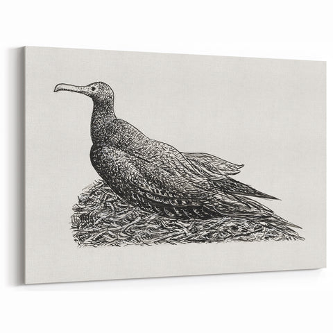 Modern Wall Art - Cormorant on Nest - Contemporary Minimalist Print