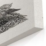 Modern Wall Art - Cormorant on Nest - Contemporary Minimalist Print