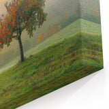 Peaceful Landscape Canvas - Apple Tree in Misty Sunrise Wall Art