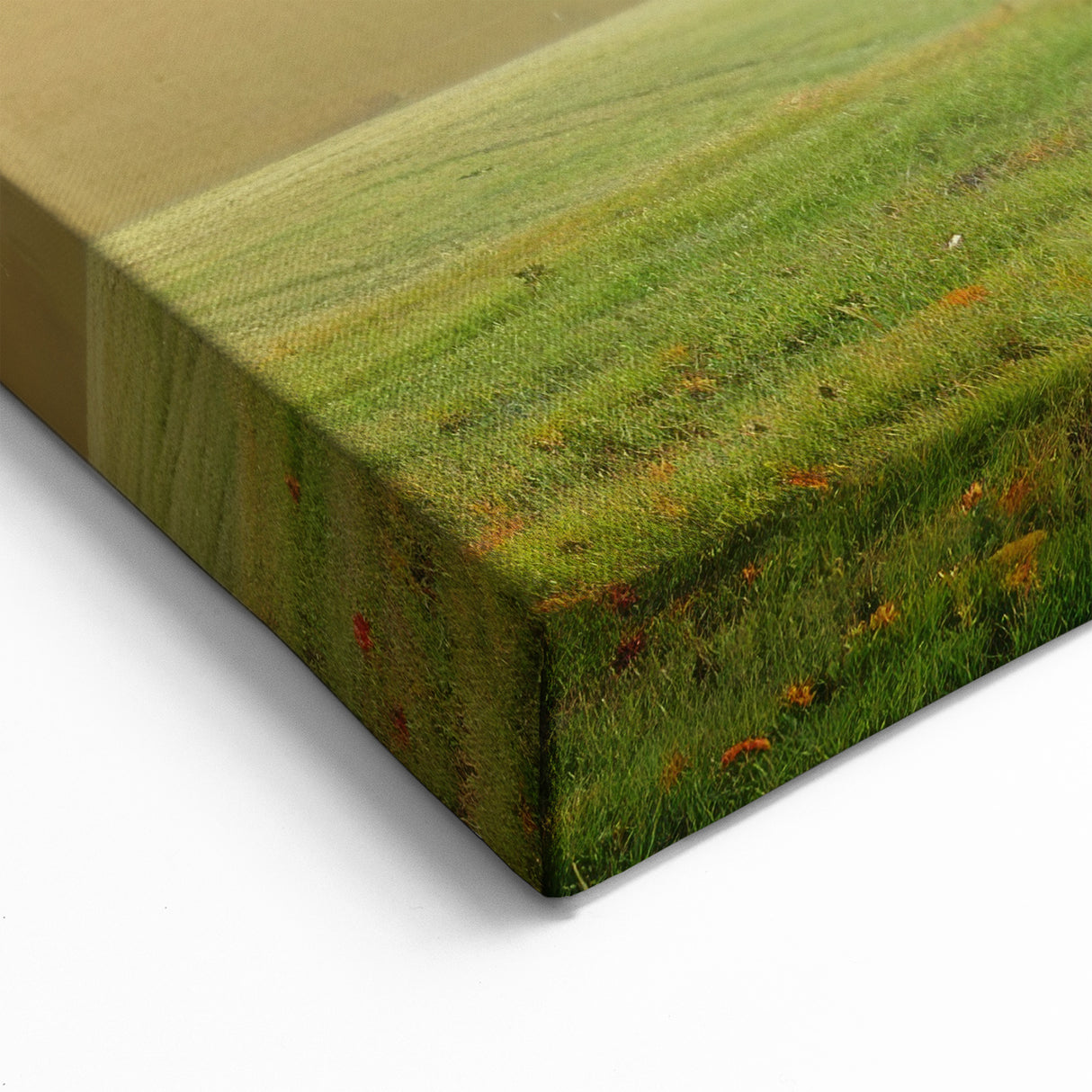 Peaceful Landscape Canvas - Apple Tree in Misty Sunrise Wall Art