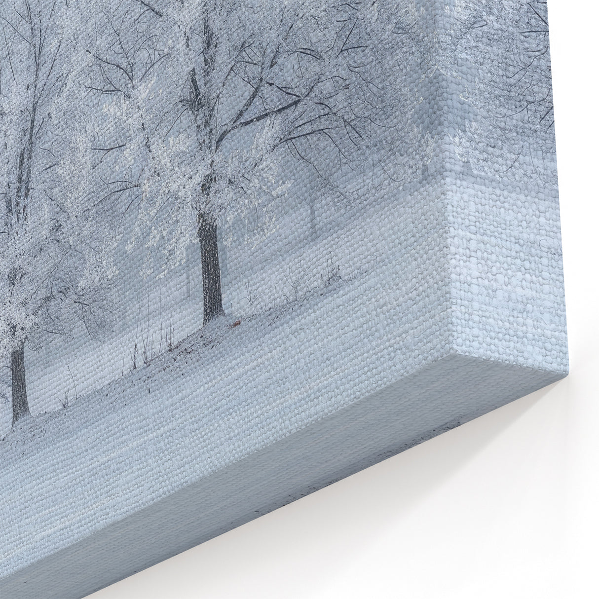 Winter Wonderland Abstract Landscape Wall Art - Frosty Trees Canvas
